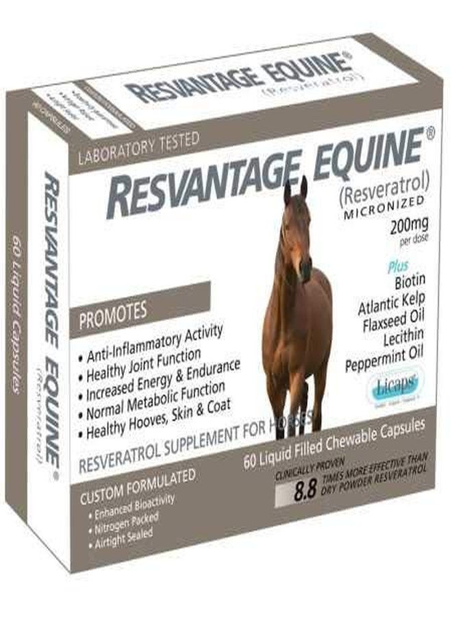 Resvantage Equine Supplement 60 chewable resveratrol Liquid Filled Capsules for Horses - Image 3